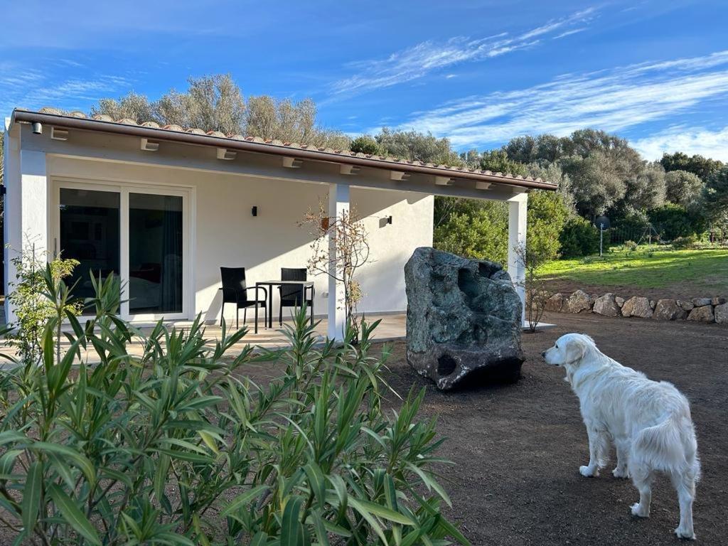 La Piana Holiday House Bassacutena Екстериор снимка