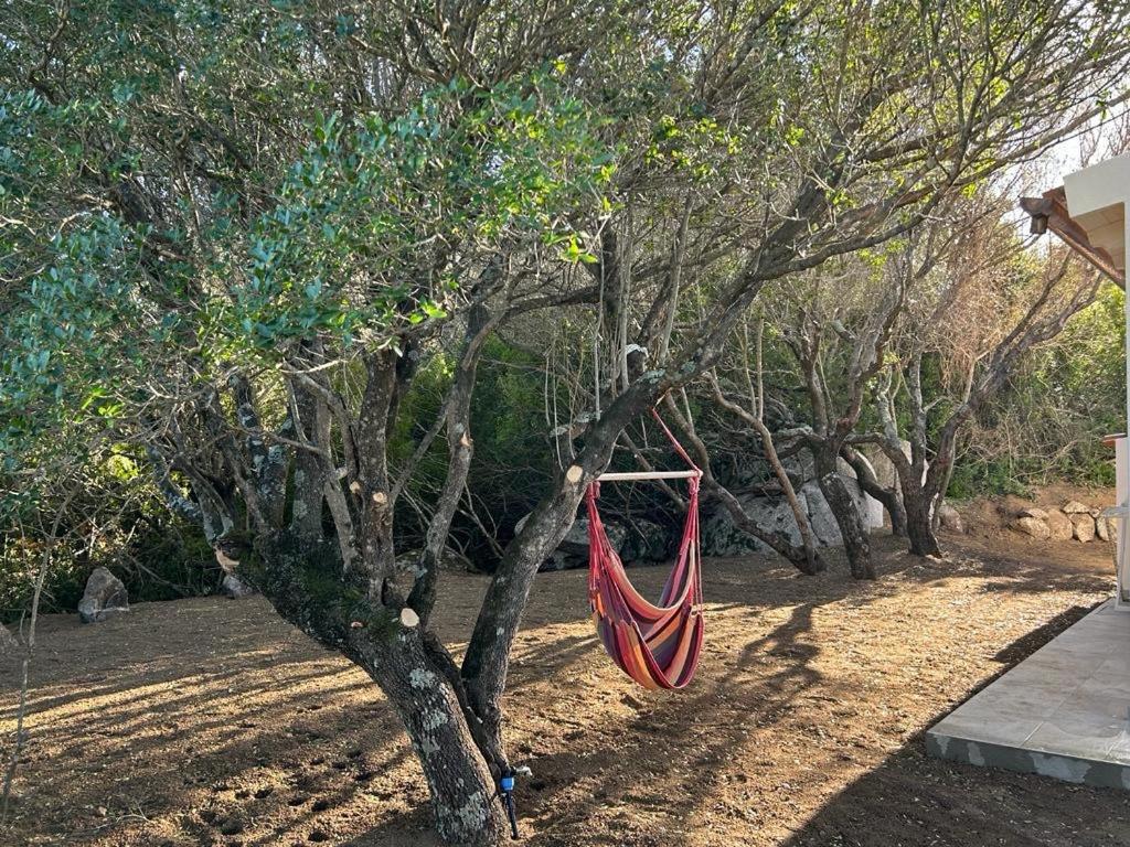 La Piana Holiday House Bassacutena Екстериор снимка