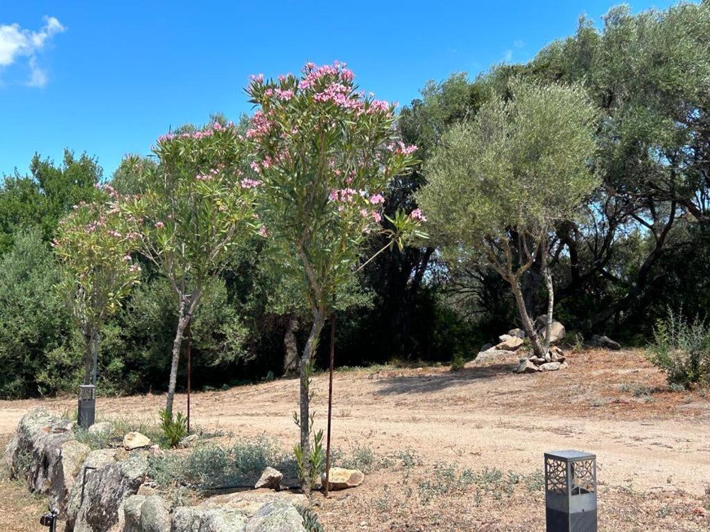La Piana Holiday House Bassacutena Екстериор снимка