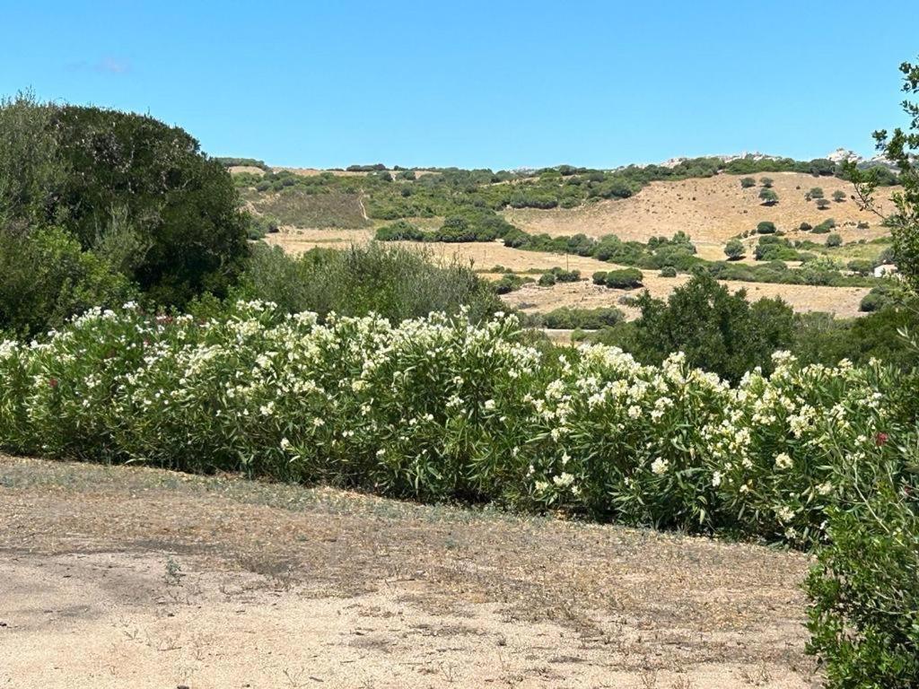 La Piana Holiday House Bassacutena Екстериор снимка