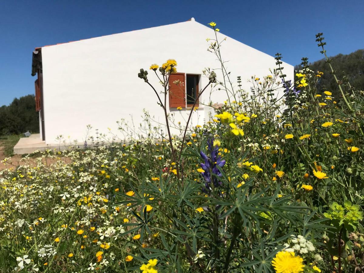 La Piana Holiday House Bassacutena Екстериор снимка