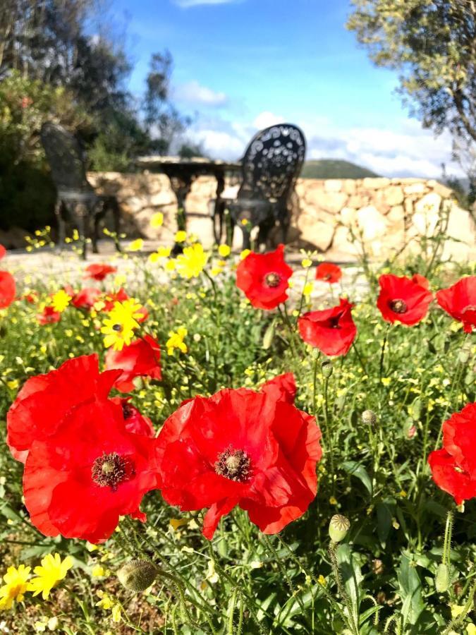 La Piana Holiday House Bassacutena Екстериор снимка